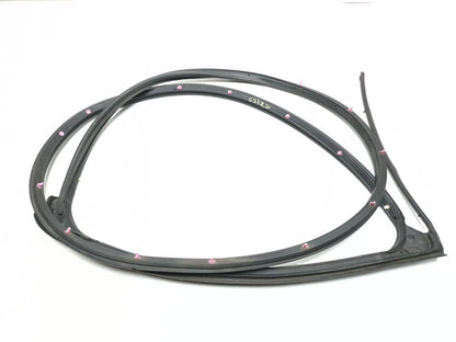 2011 Nissan Juke Door Weatherstrip Rear Driver Side Left OEM