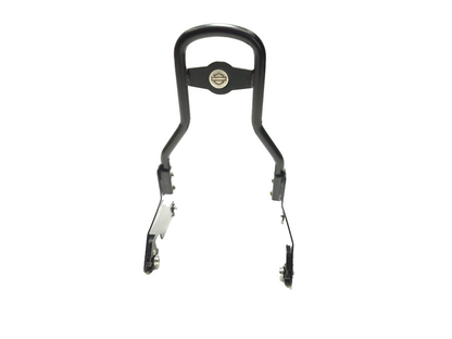 2020 Harley-davidson Sportster Xl1200  Rear Passenger Back Rest Sissy Bar OEM