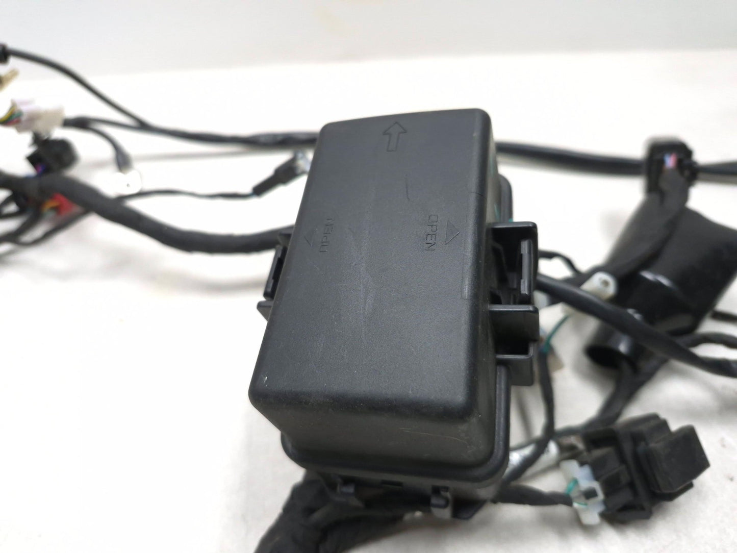 2023 Cf Moto Lifan 300ss Main Wiring Harness OEM