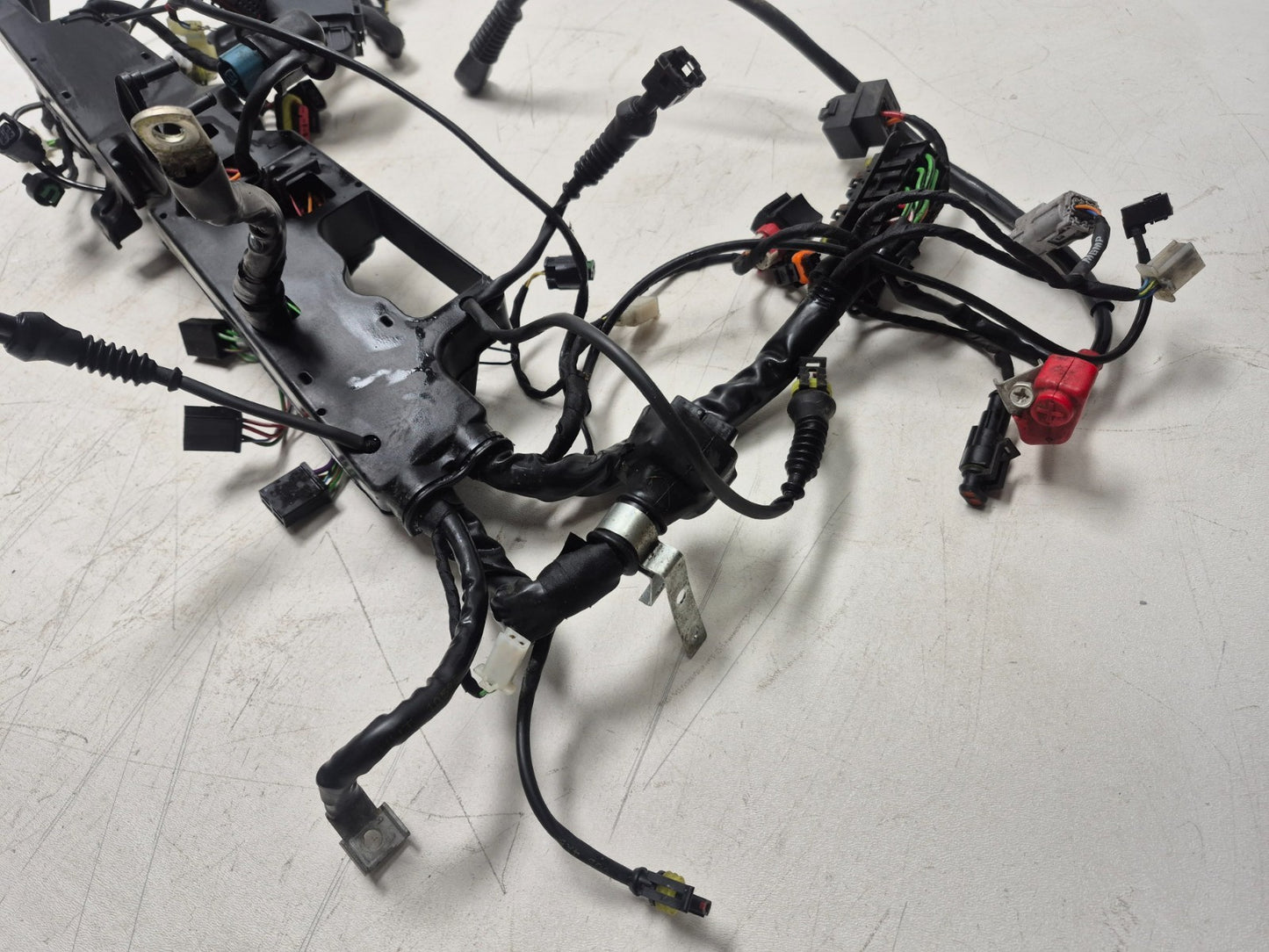 2022 Moto Guzzi V7 Main Wire Harness OEM