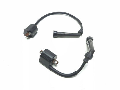 2013 Suzuki Vl800 Boulevard C50 Ignition Coil Pair OEM