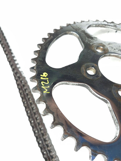 2000-2003 Harley Sportster Xl1200 Xl883 Chain & Drive Sprocket Conversion Kit