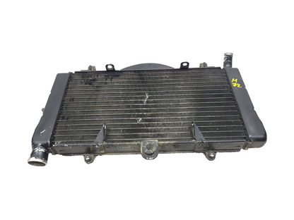 1987 1988 Honda Cbr1000f Hurricane Engine Coolant Radiator OEM