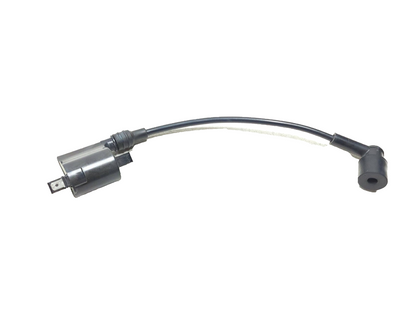 2017 - 2025 Kawasaki Z125 Pro Br125 Ignition Coil OEM