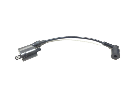 2017 - 2025 Kawasaki Z125 Pro Br125 Ignition Coil OEM