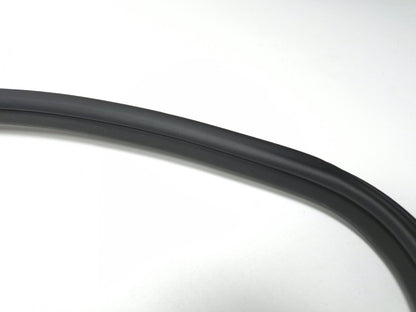 2011 Nissan Juke Front Door Window Belt & Weatherstrip Seal Passenger Rh OEM