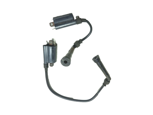 2004 Suzuki Intruder Volusia Vl800 Ignition Coil Pair OEM