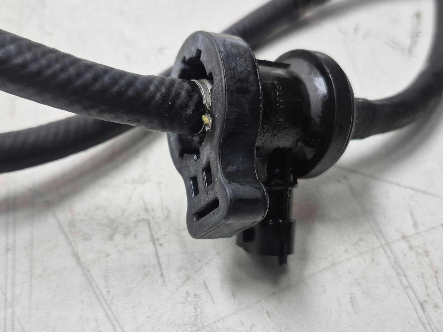 2022 Moto Guzzi V7 Emissions Evap Charcoal Canister  OEM