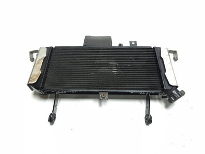 2009 Suzuki Sv650s Radiator 17710-17g40 OEM