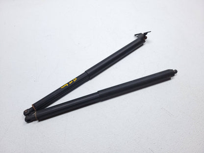 2007 Mercedes Ml500 Rear Trunk Lid Shock Strut Support Pair OEM