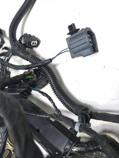 2019 Ford Ecosport Main Wire Harness With Fuse Box OEM