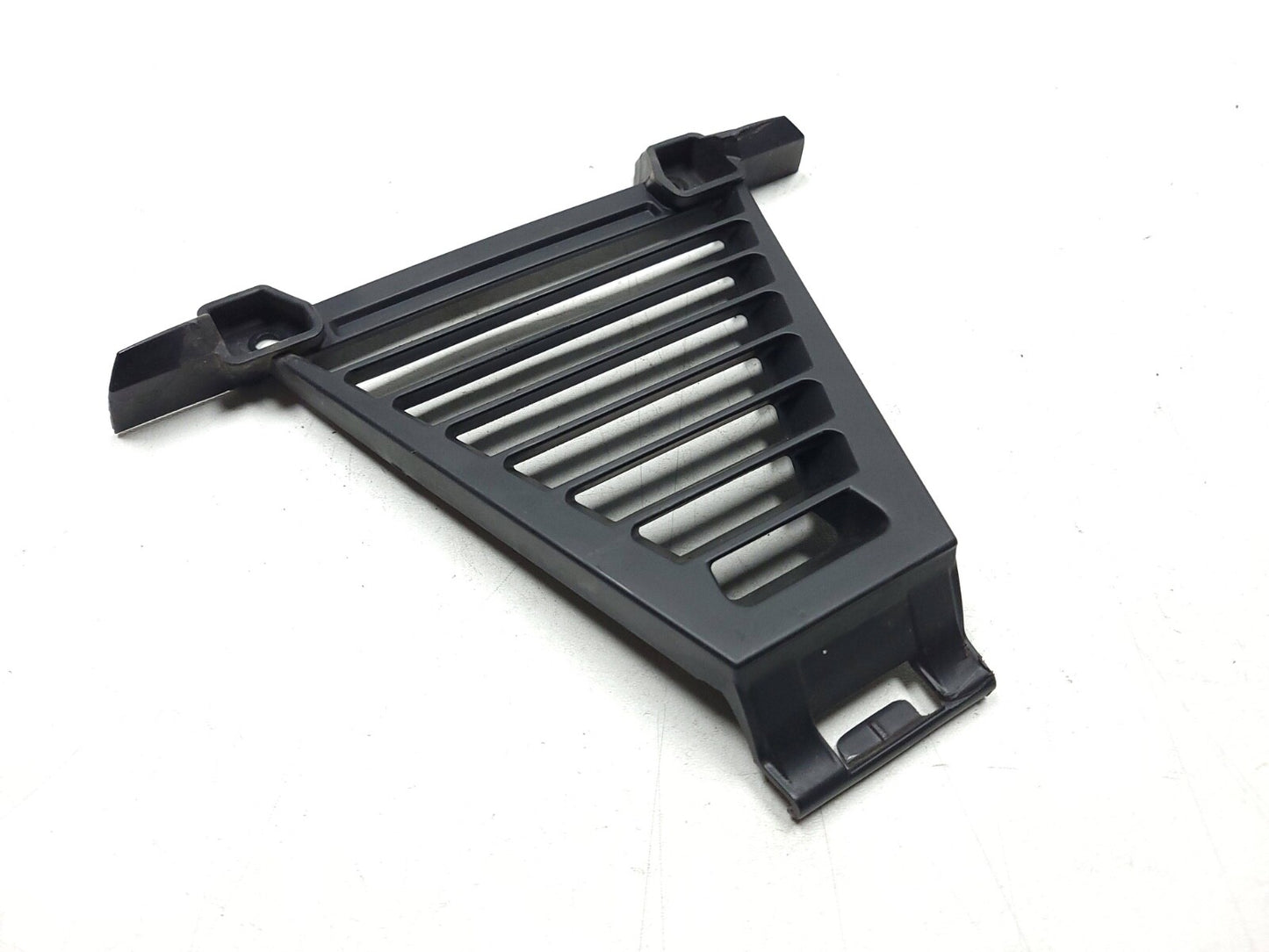 2017 - 2024  BMW G310 R Radiator Grille OEM