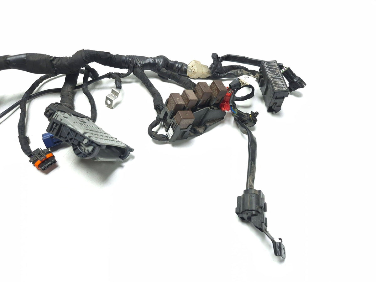 2024 Triumph Speed 400 Main Wire Harness OEM