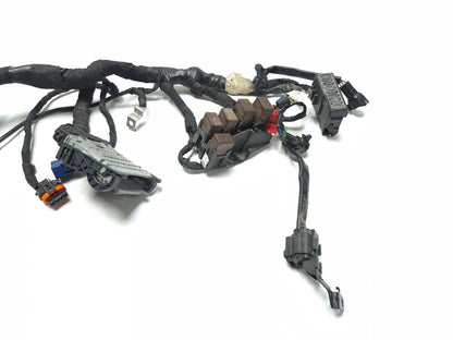 2024 Triumph Speed 400 Main Wire Harness OEM