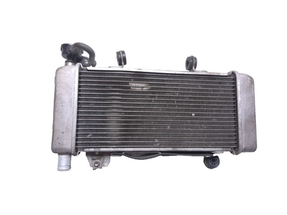 2020 Honda Cb300r Cbf300na Radiator OEM