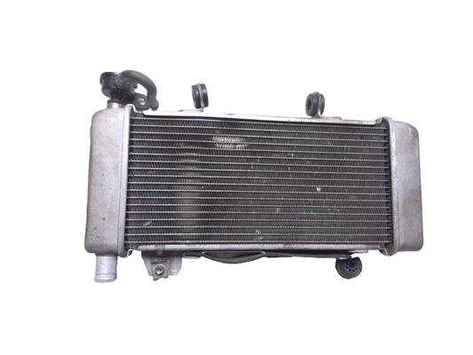 2020 Honda Cb300r Cbf300na Radiator OEM