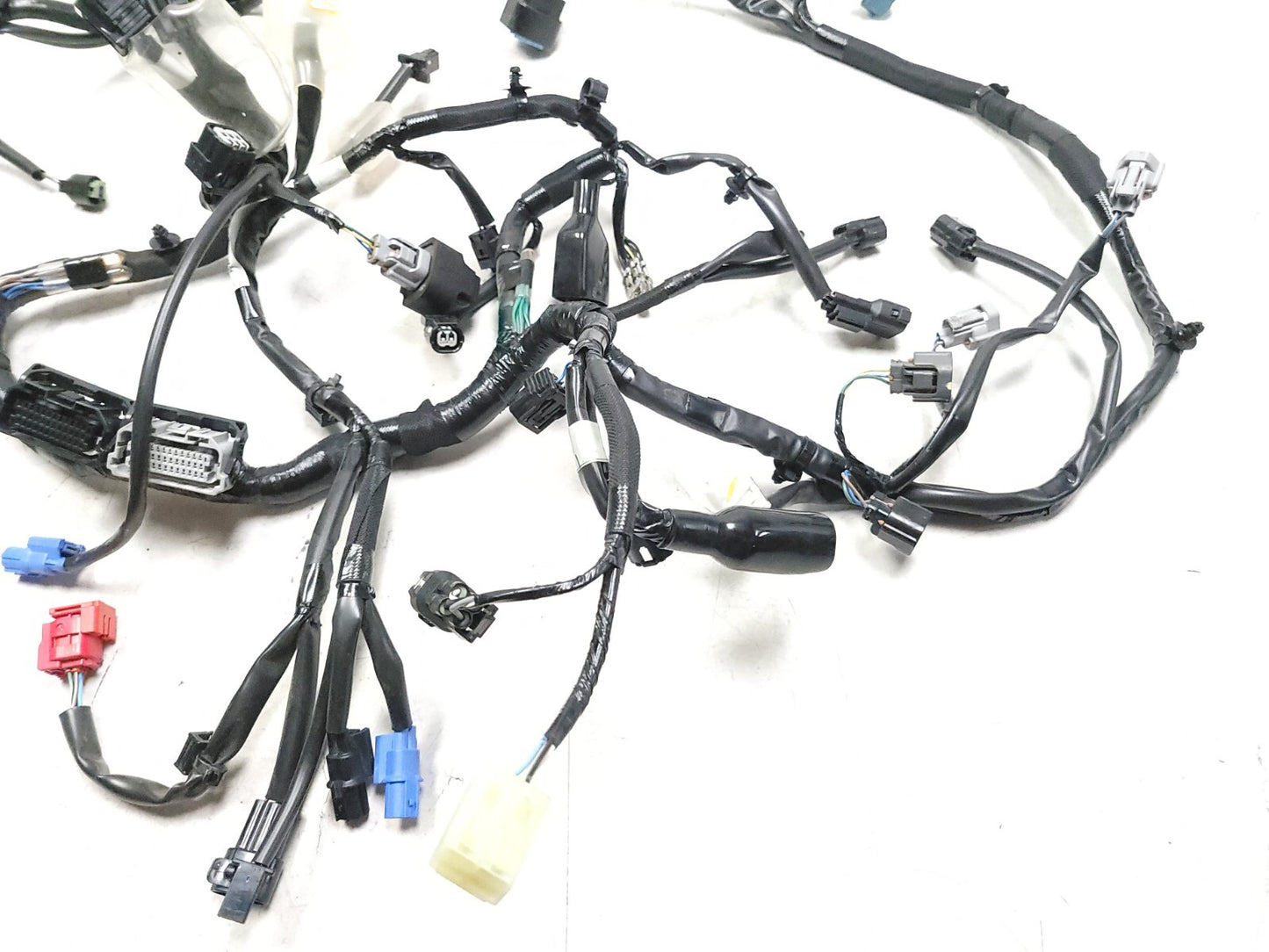 2023 Kawasaki Ex650 Ninja 650 Main Wire Harness 26031-3874 OEM