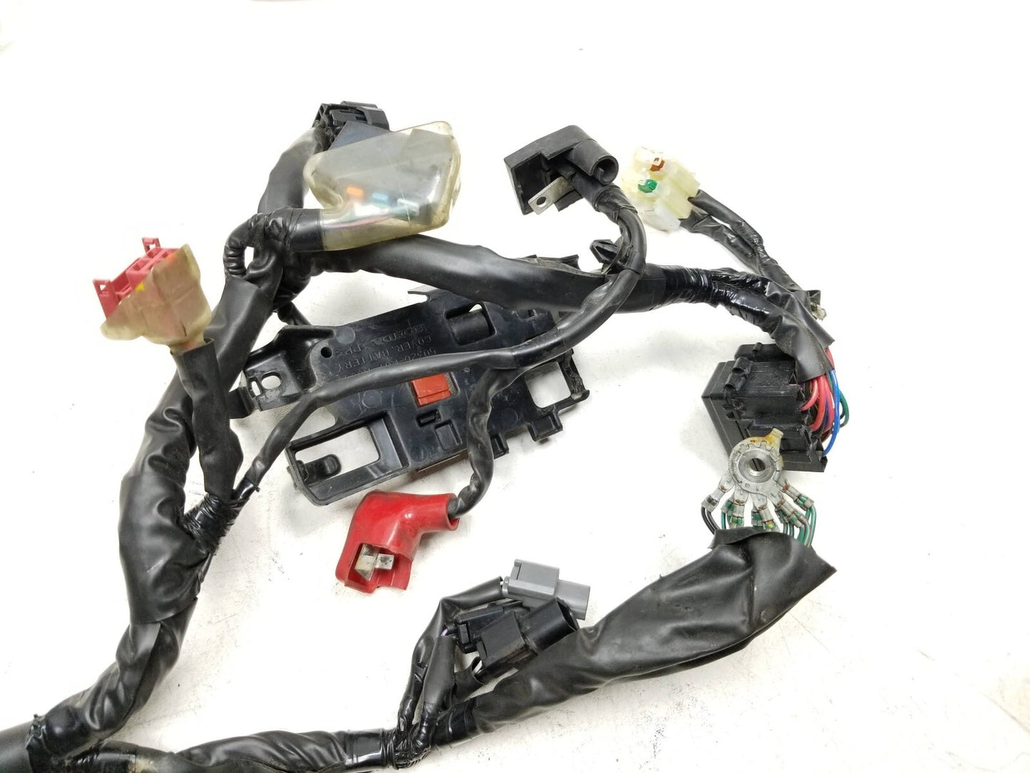 2019 Honda Cmx300 Rebel ABS Main Wire Harness OEM