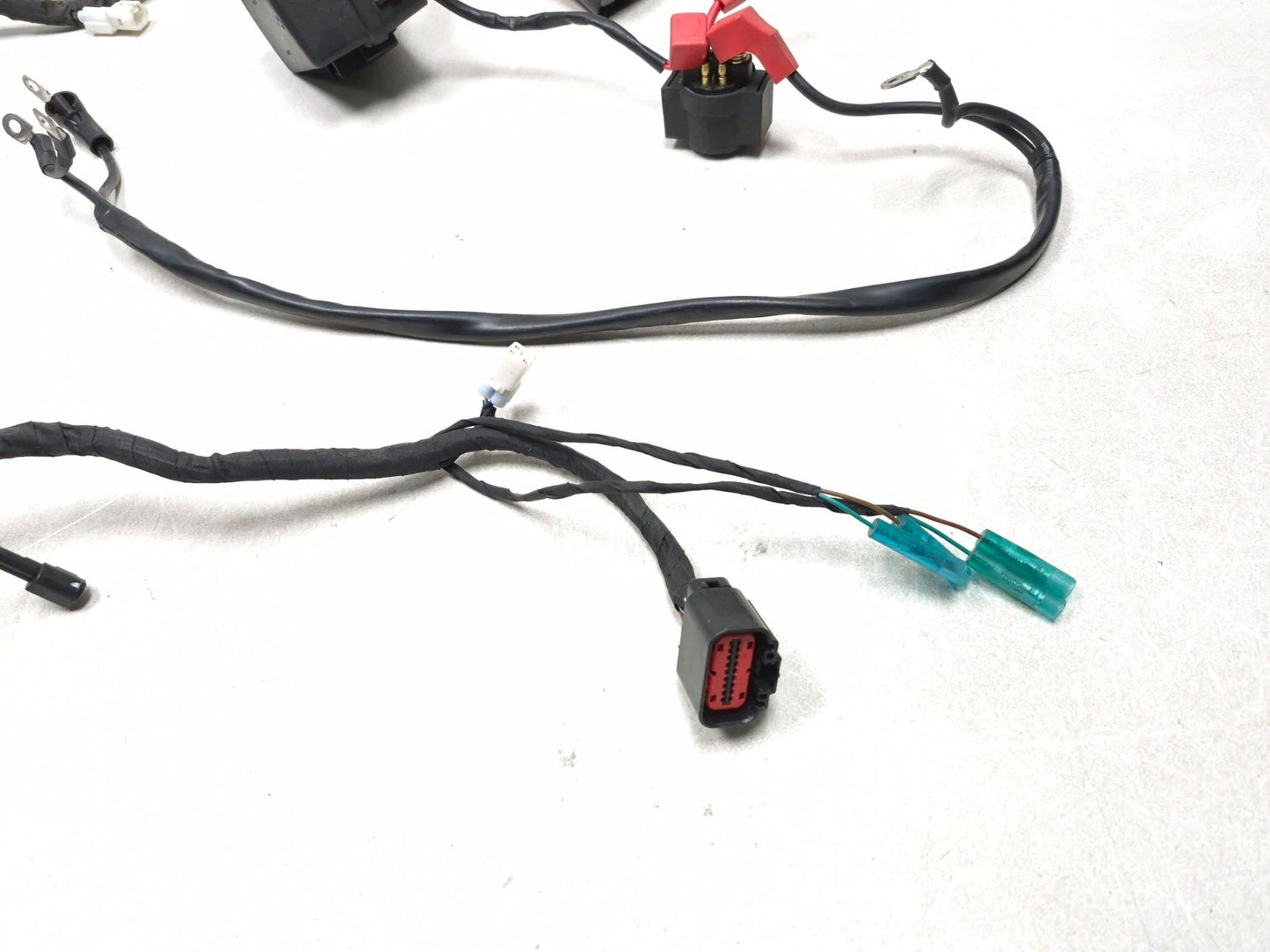 2023 Cf Moto Lifan 300ss Main Wiring Harness OEM