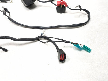 2023 Cf Moto Lifan 300ss Main Wiring Harness OEM