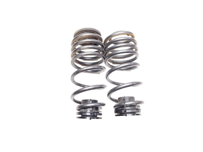 2010 - 2014 VW Golf GTI Rear Coil Spring Pair