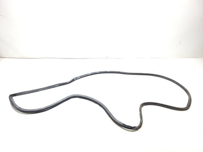 09-14 Hyundai Genesis Door Weatherstrip Seal Front Driver Side Left OEM Sedan