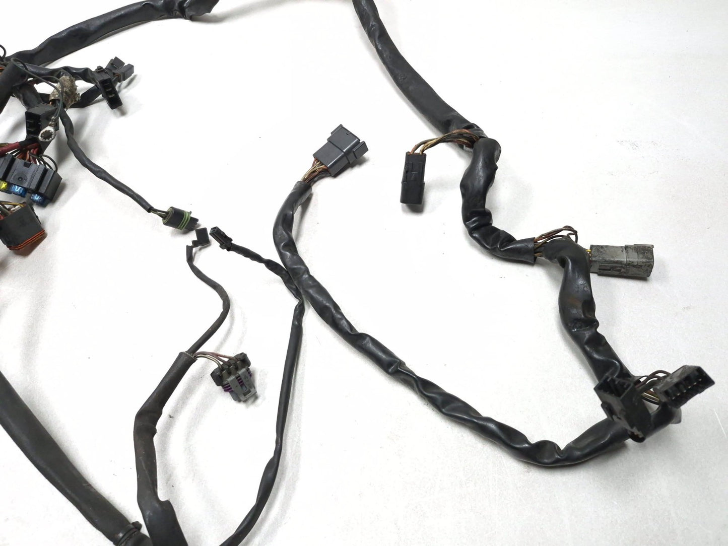2003 Harley-davidson Fxdl Anniversary Dyna Main Wiring Harness OEM