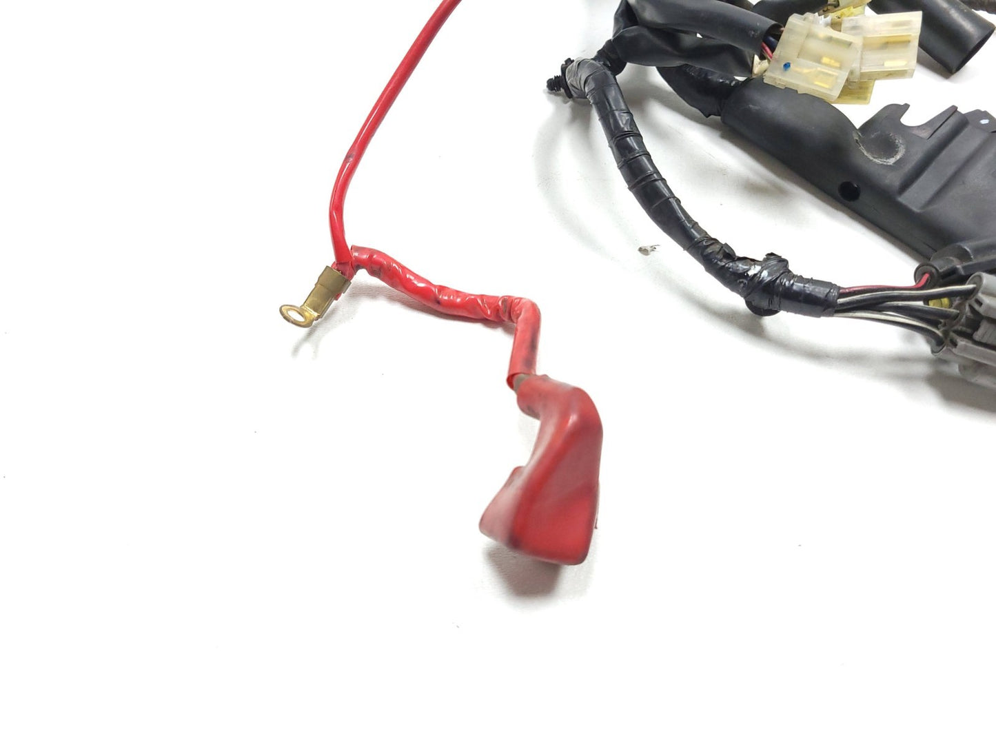 2007 Yamaha Xvs1300 V-star Main Engine Wiring Harness OEM