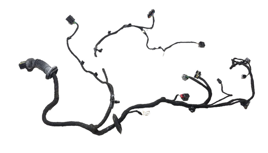 2019 Ford Ecosport Door Wire Wiring Harness Front Driver Side Left OEM