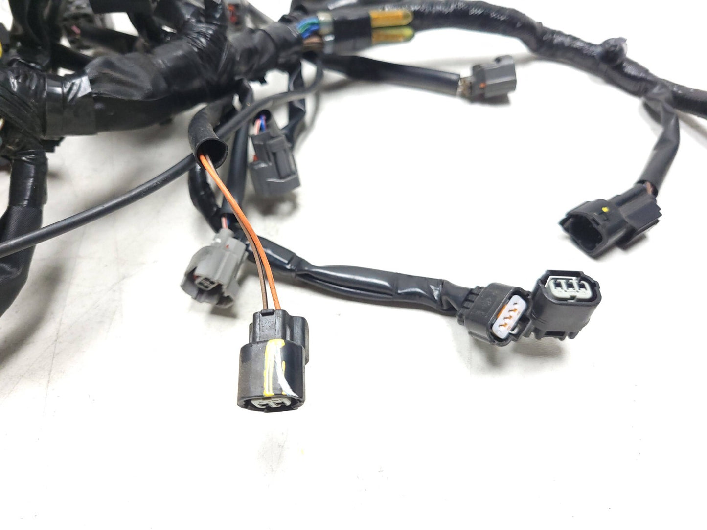 19 - 23 Kawasaki Z400 Er400 Main Engine Wiring Harness OEM