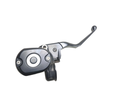 2021 Harley-davidson Sportster Xl1883 ABS Front Brake Master Cylinder Lever OEM