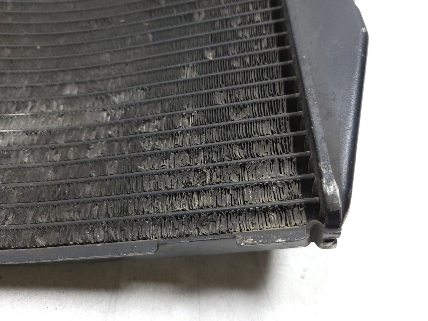 2004 - 2006 Yamaha Yzfr1 R1 Engine Cooling Radiator OEM