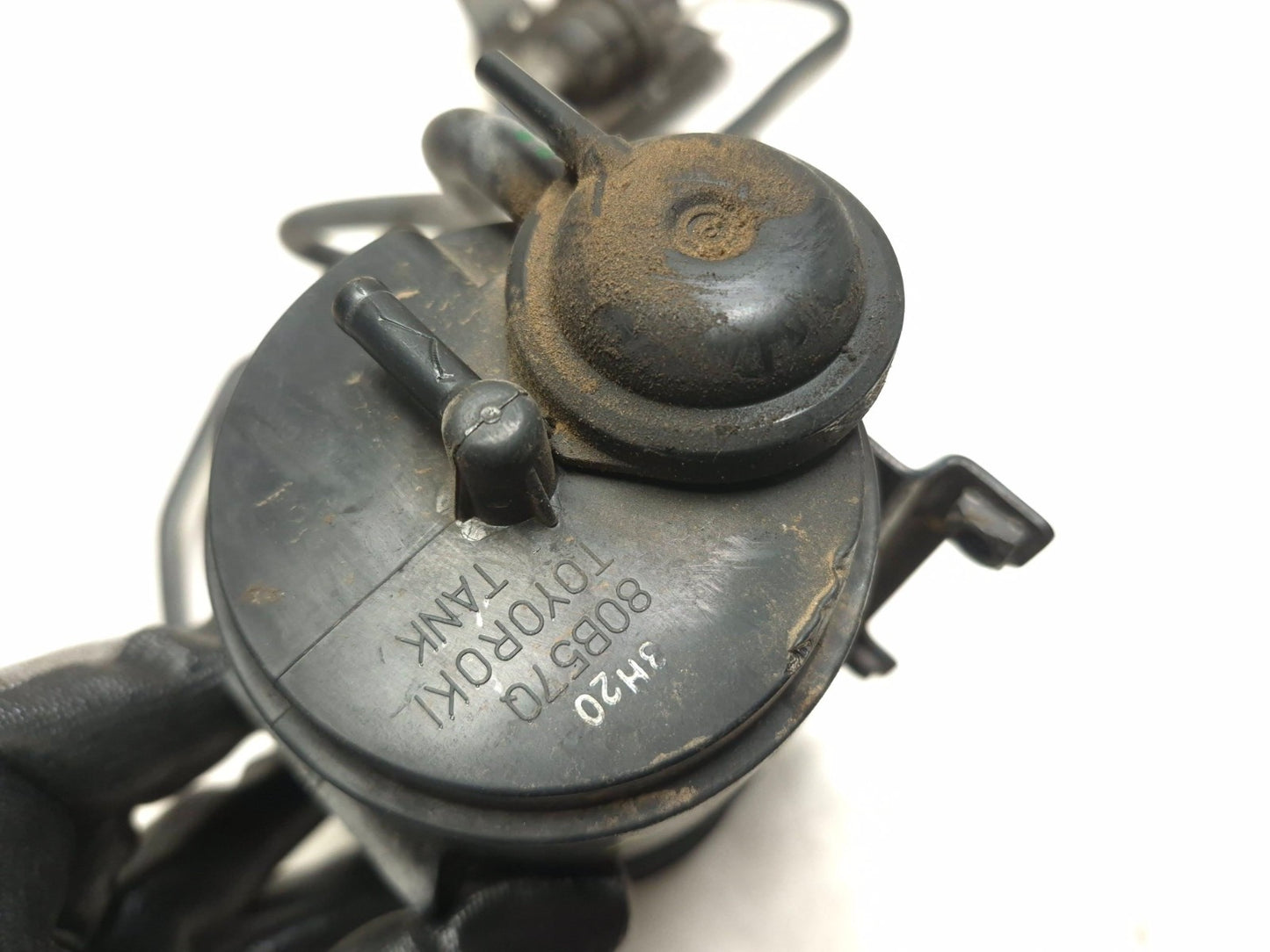 2014 Triumph America Evap Canister & Purge Valve Assy OEM