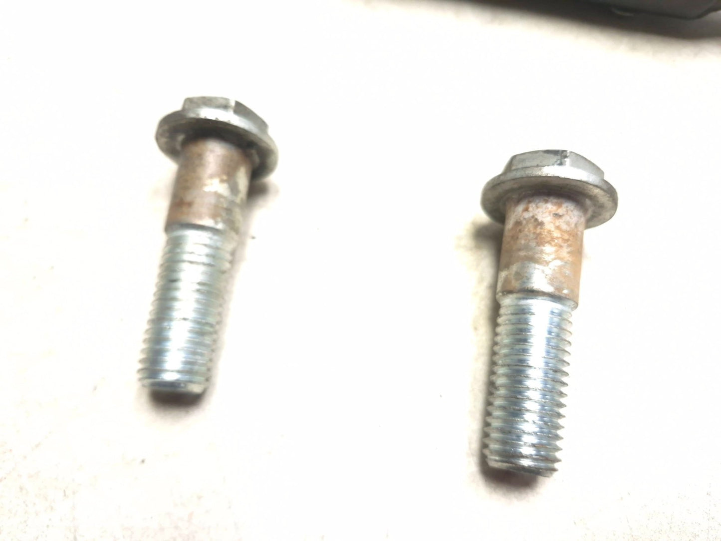 2006 Harley-davidson Sportster Xl883 Rear Swingarm & Bolt Assy OEM