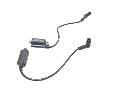 02-06 Ducati Monster M600 620 Ignition Coil 2pcs OEM