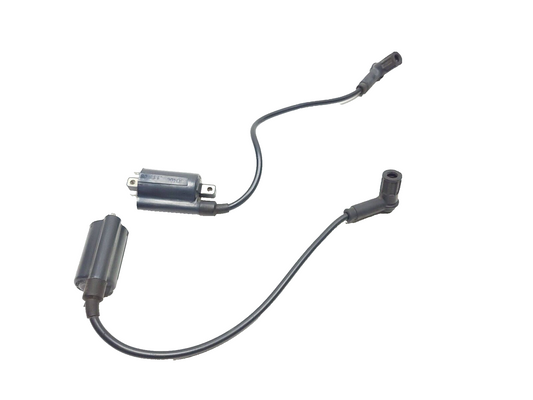 02-06 Ducati Monster M600 620 Ignition Coil 2pcs OEM