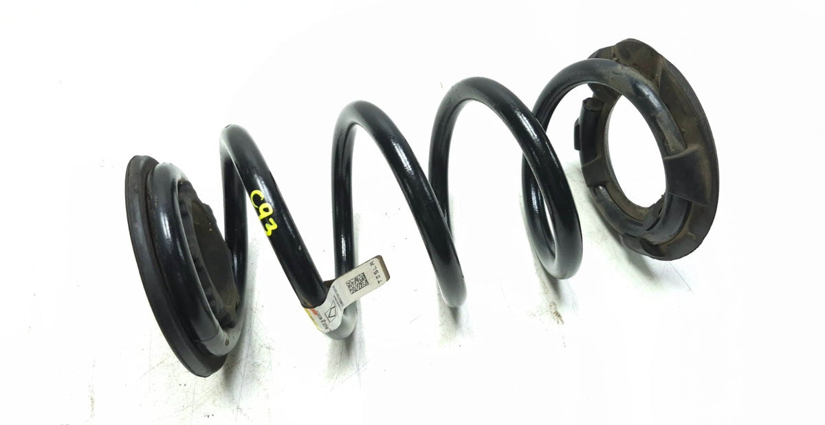 2021 Tesla Model 3 RWD Rear Coil Spring Left & Right OEM