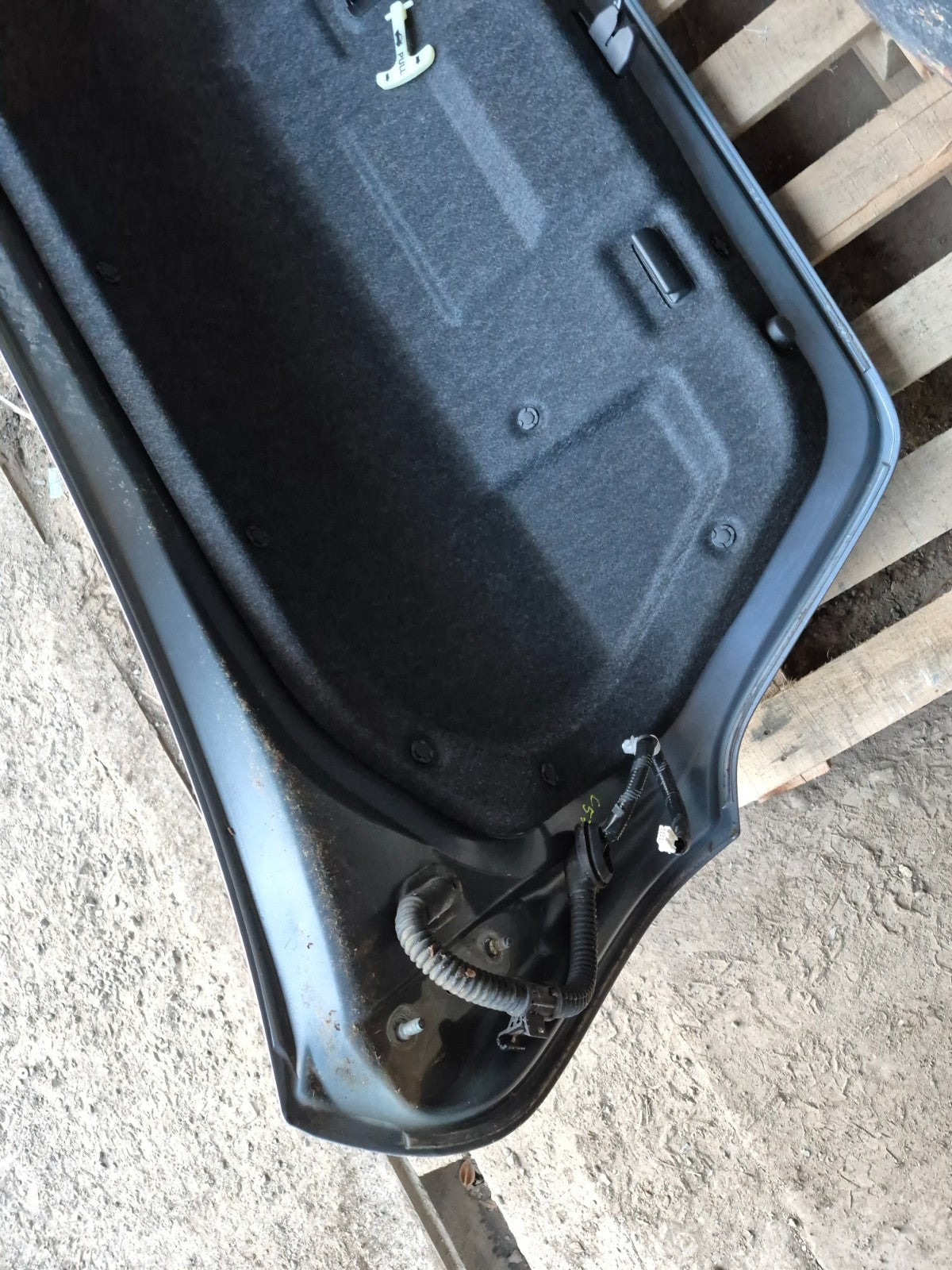 2010 Nissan Maxima Trunk Lid OEM