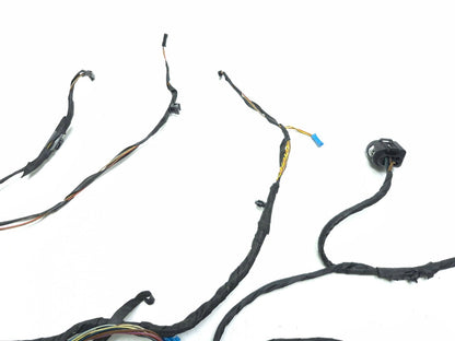2011 BMW 750li Rear Door Wire Harness Driver Side Left OEM