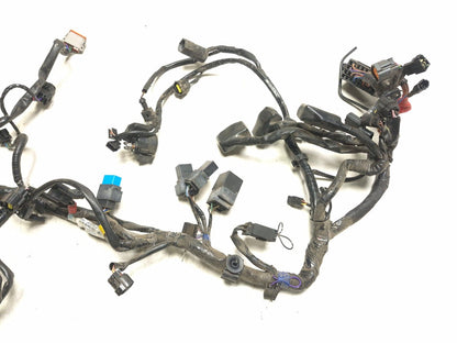 2014 Triumph America Main Wire Harness OEM