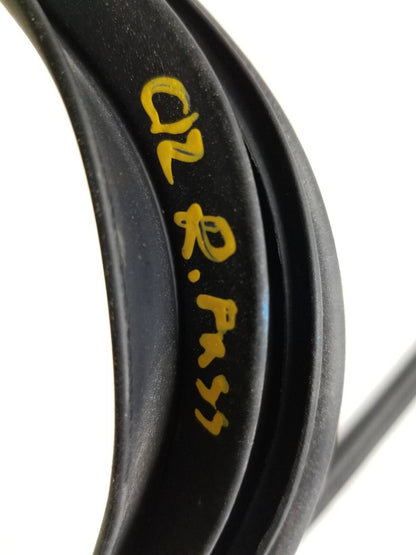 2011 - 2013 Kia Sportage Door Weatherstrip Seal Rear Passenger Side Right OEM