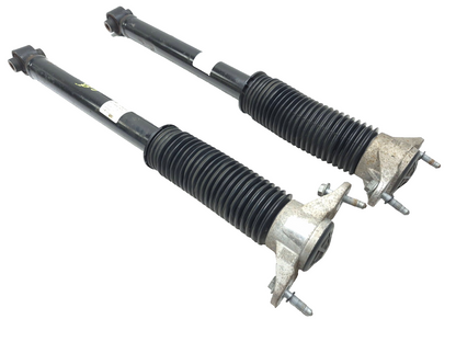 2022 Tesla Model 3 RWD Rear Shock Strut Absorber Left & Right OEM