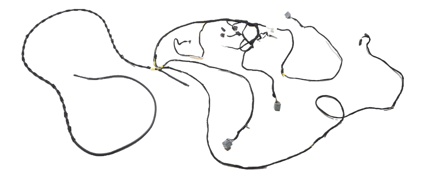 2019 Ford Ecosport Roof Headliner Wire Harness OEM