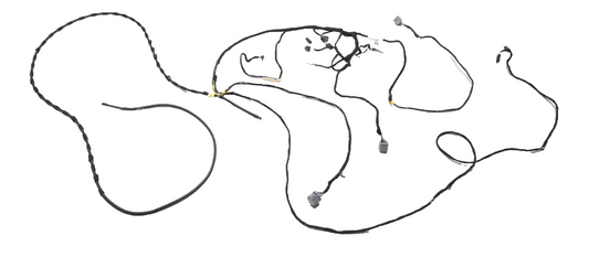 2019 Ford Ecosport Roof Headliner Wire Harness OEM