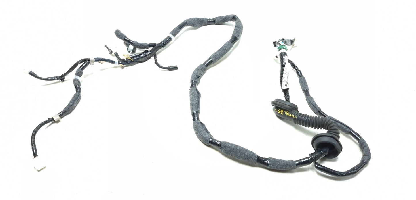 2015 Nissan Juke Wire Harness Tailgate Liftgate OEM