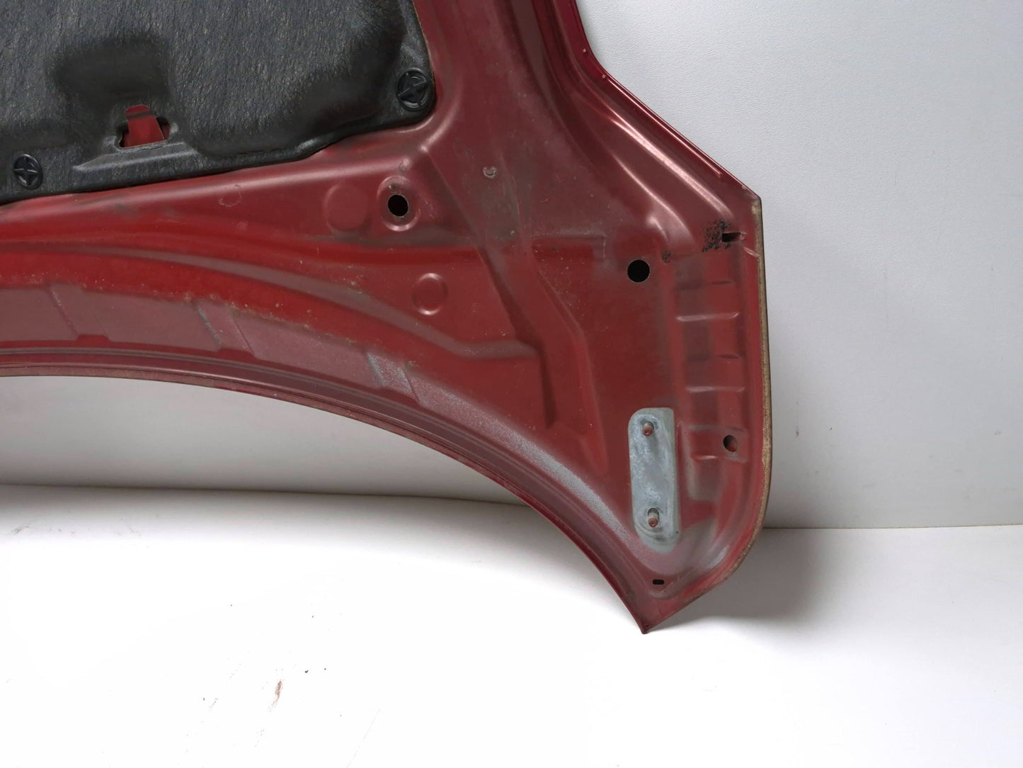 2011 Nissan Juke Hood OEM