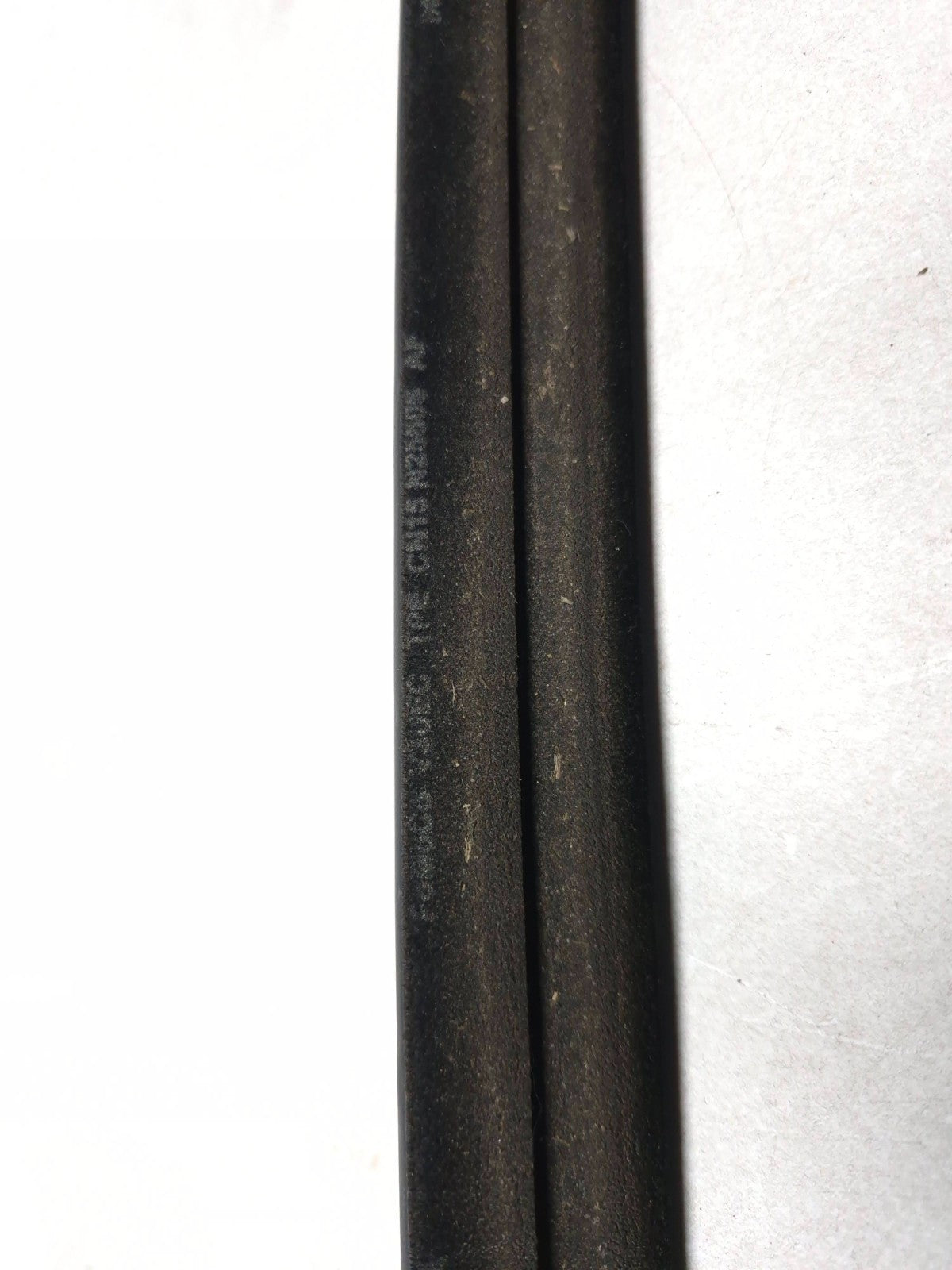 2019 Ford Ecosport Door Weatherstrip Rear Driver Side Left OEM