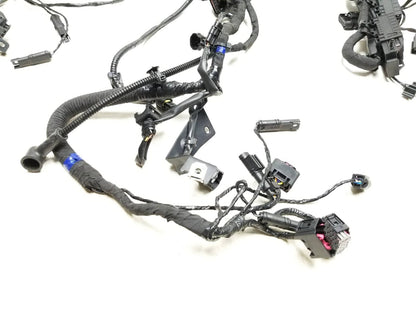 2023 BMW G310r Main Wire Wiring Harness  OEM
