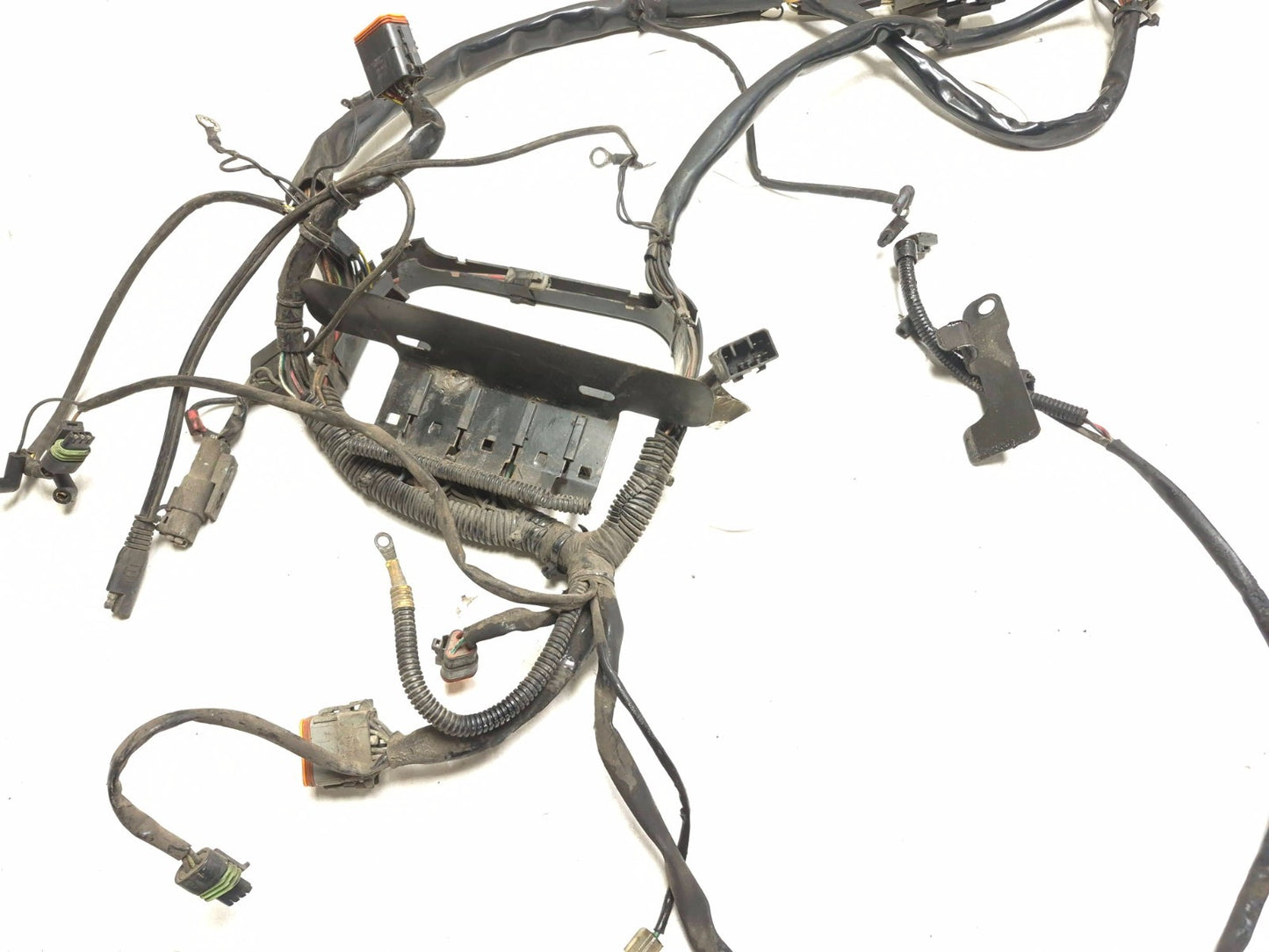2004 Harley Softail Flstc Heritage Classic Main Wire Harness OEM
