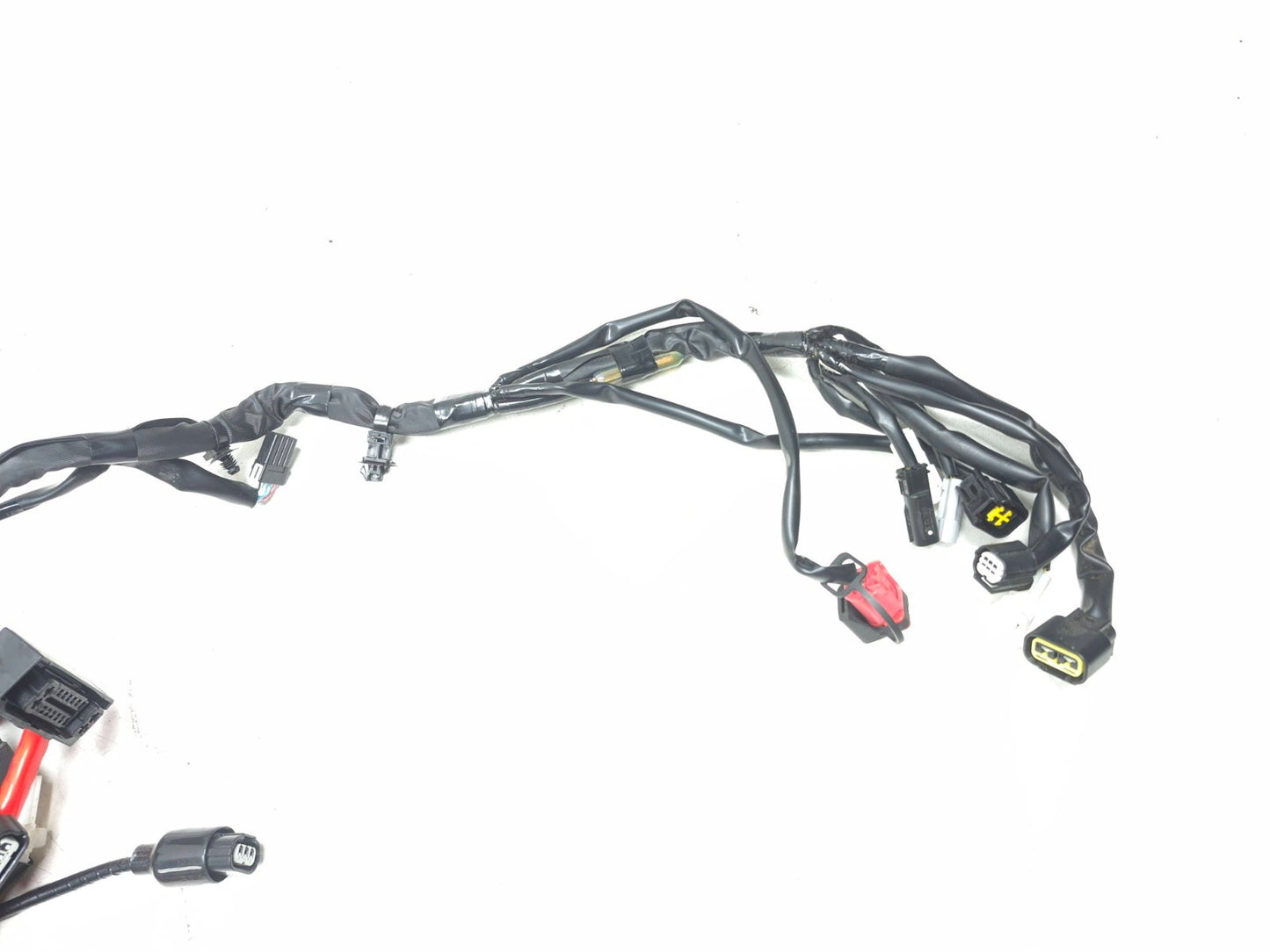 2025 Yamaha Xsr900 Main Wire Harness OEM